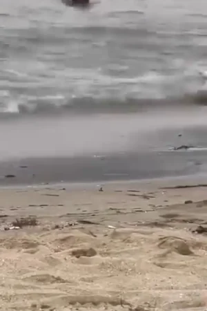 Full clip làm gì tui cũng không biết ở sầm sơn =)) hè rồi ae đi du lịch đi thôi