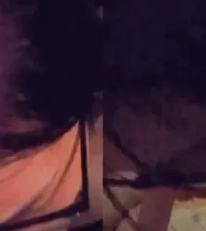 Anh chịch chán rồi em bú cu anh đi