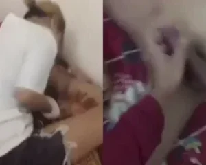 Xóm trọ bất ổn với bầy nhền nhện